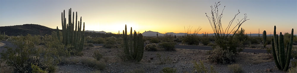 Geology of National Parks: Panoramic view of Sonoran Desert plant community and landscape of Organ Pipe Cactus National Monument.