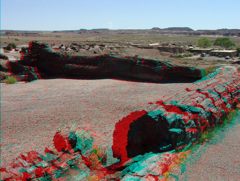 Petrified Forest National Park