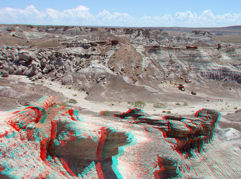 Petrified Forest National Park