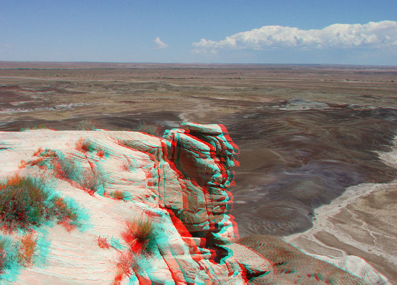 Petrified Forest National Park