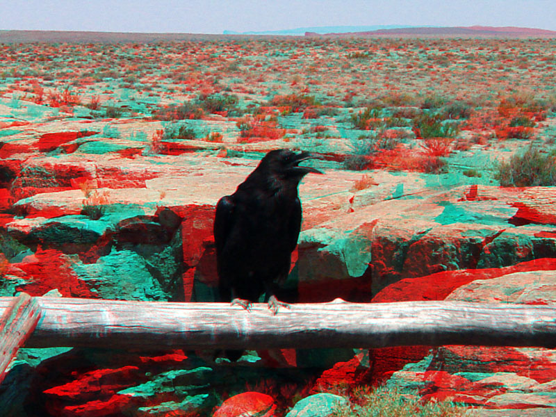 Petrified Forest National Park