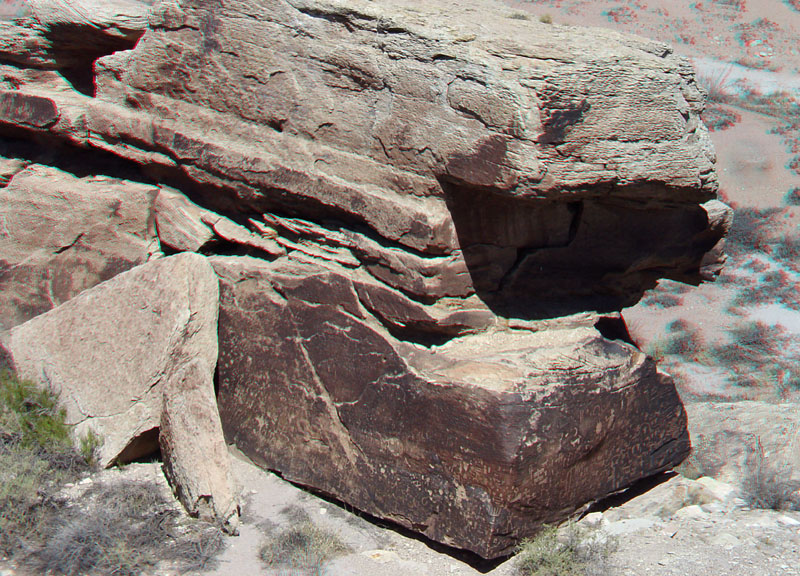 Petrified Forest National Park