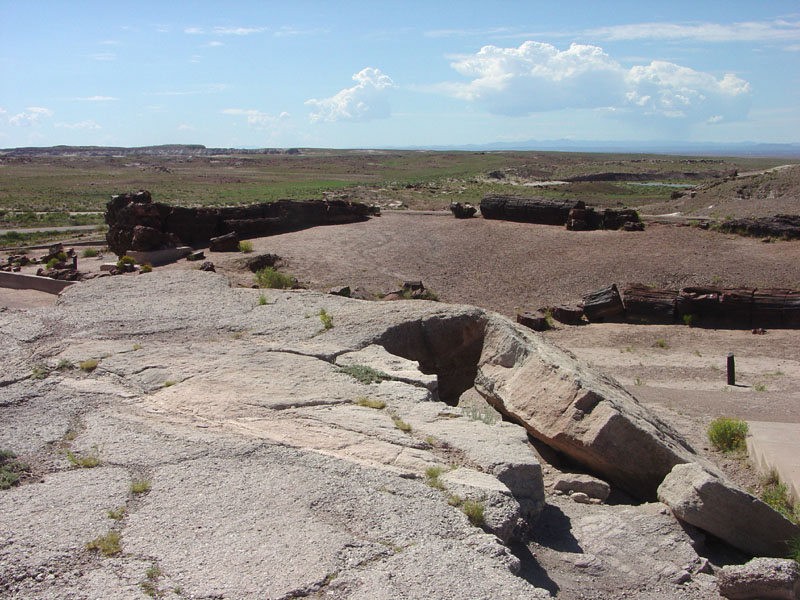 Petrified Forest National Park