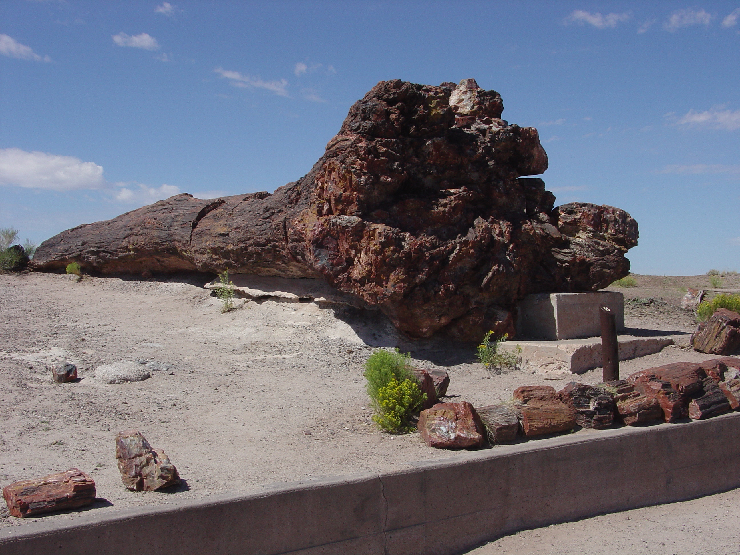 Petrified Forest National Park