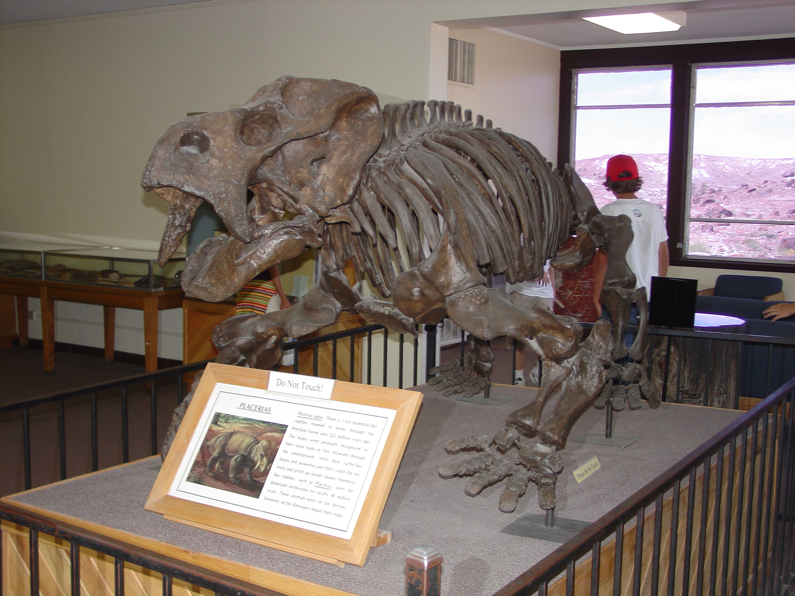 Petrified Forest National Park