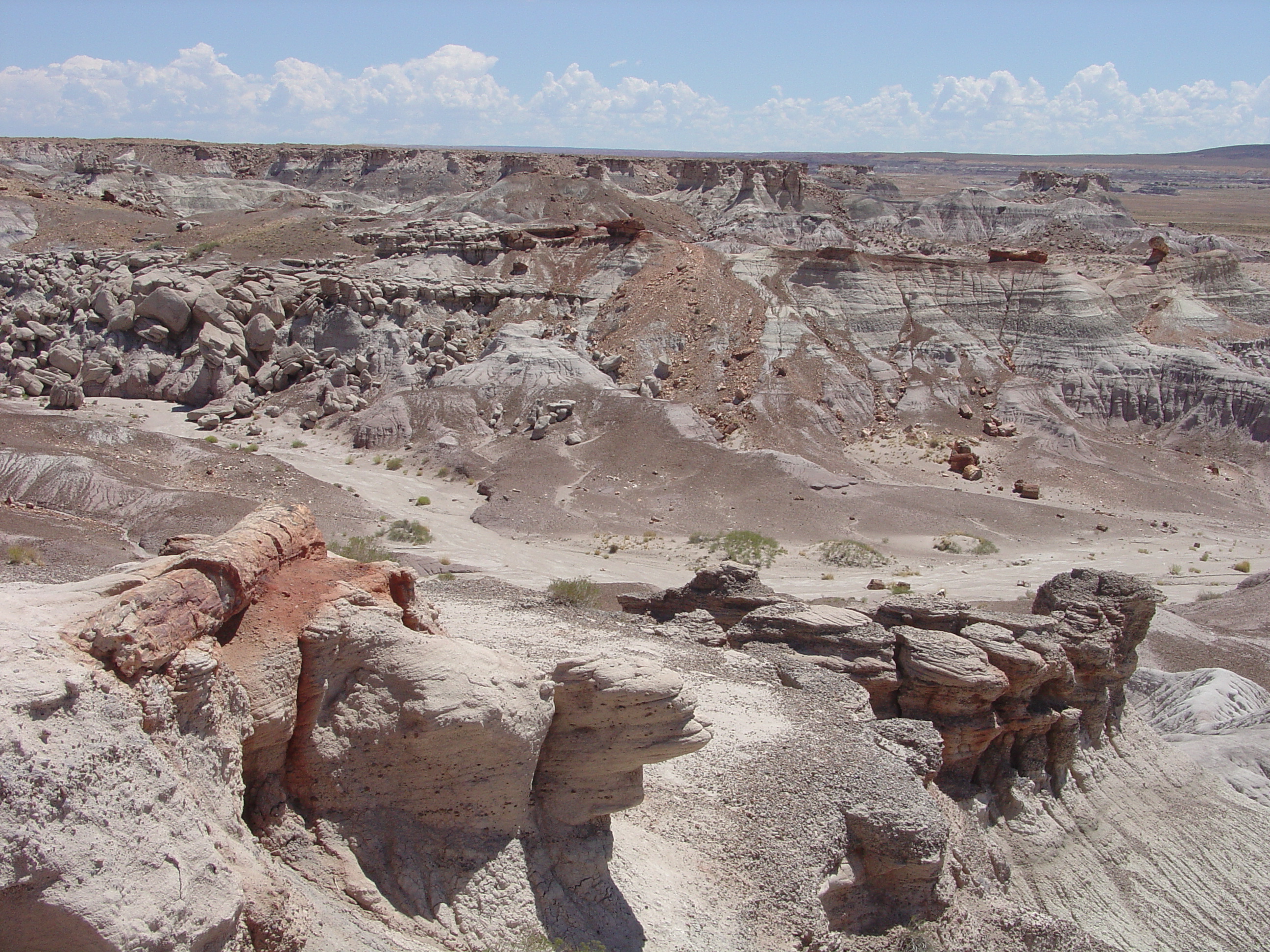 Petrified Forest National Park