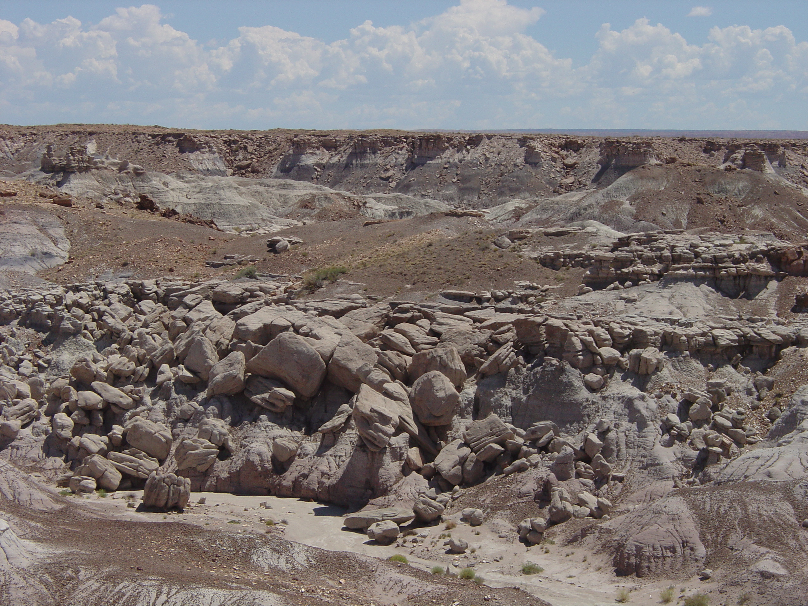 Petrified Forest National Park