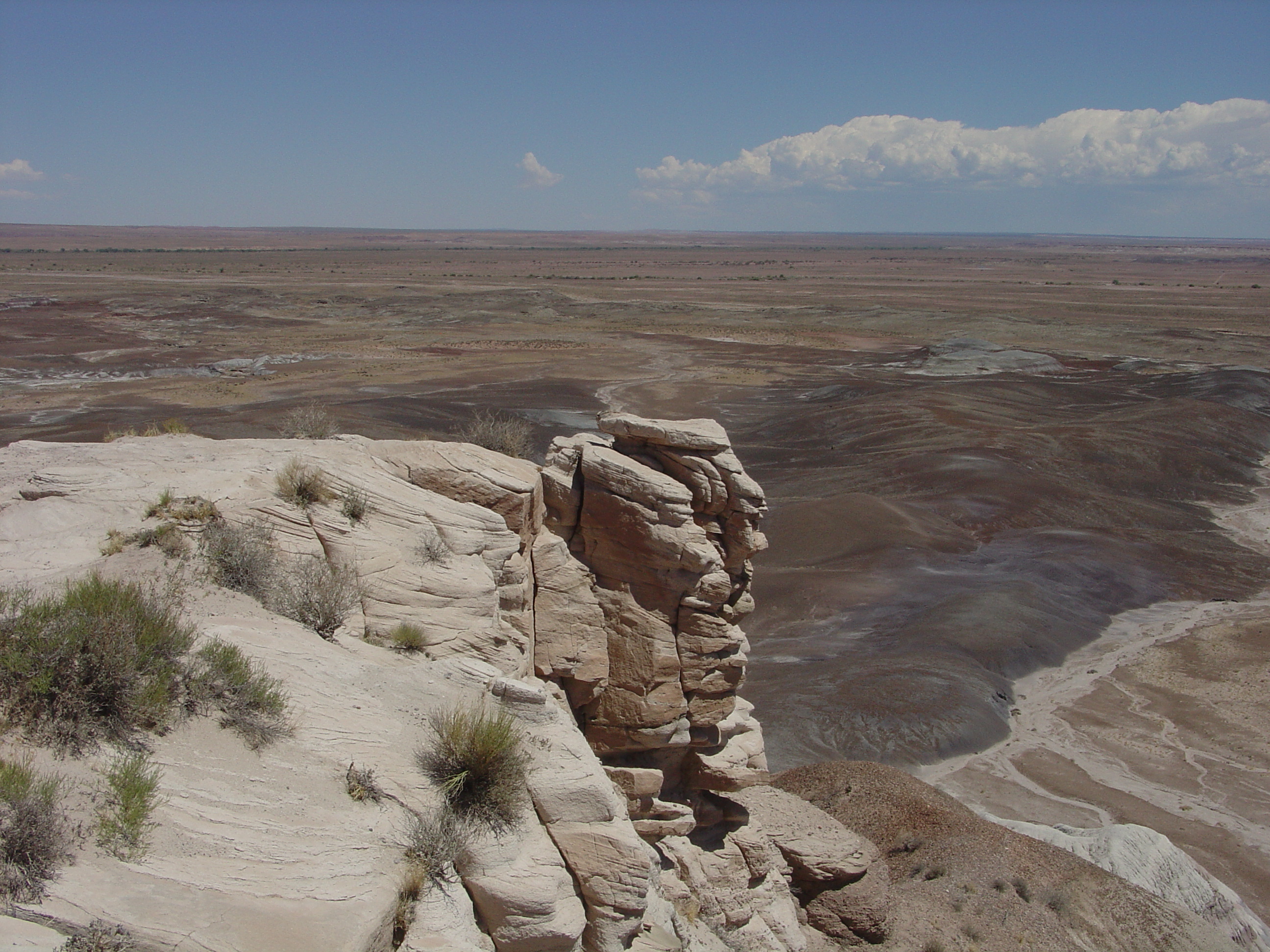 Petrified Forest National Park