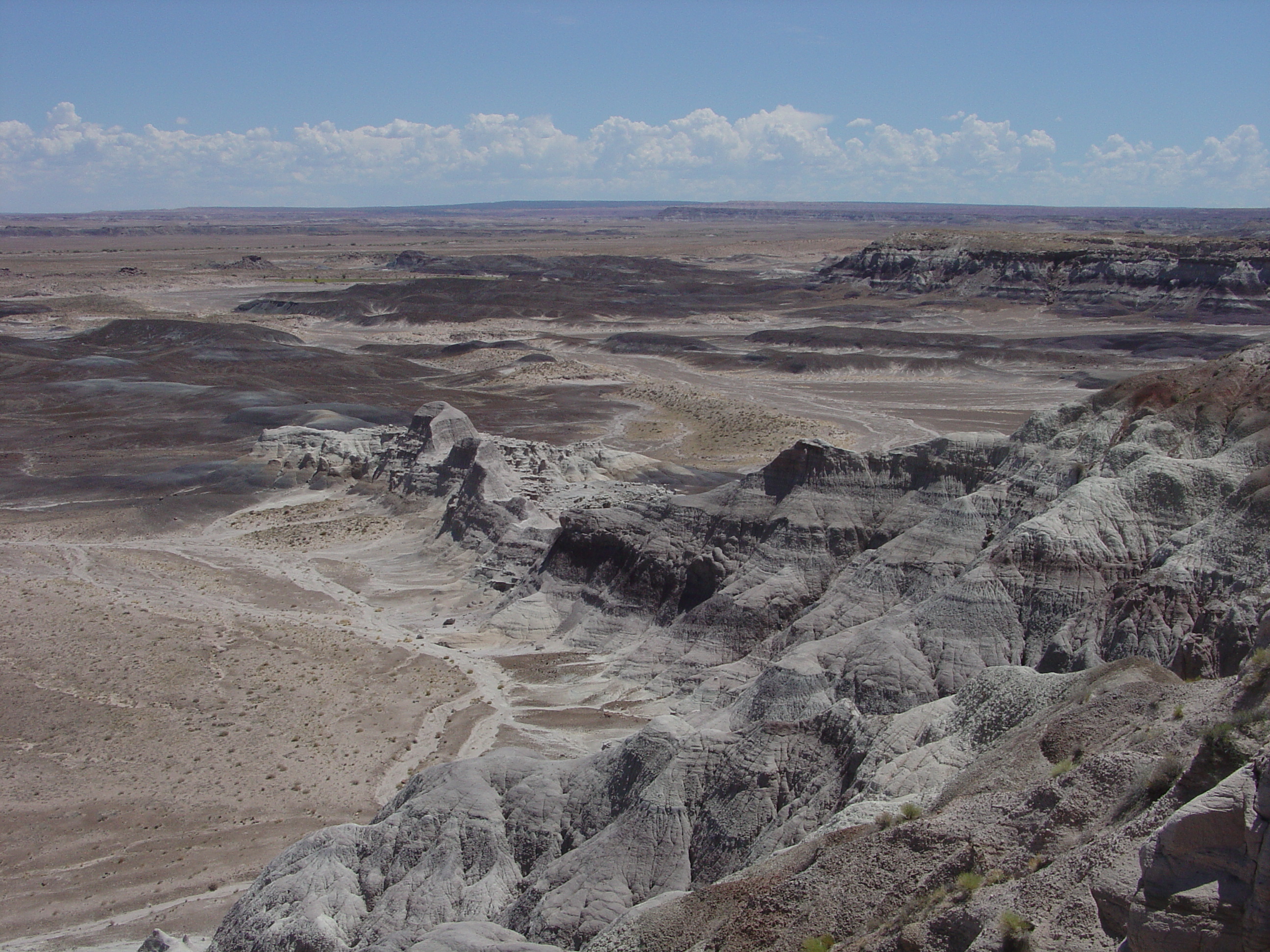 Petrified Forest National Park