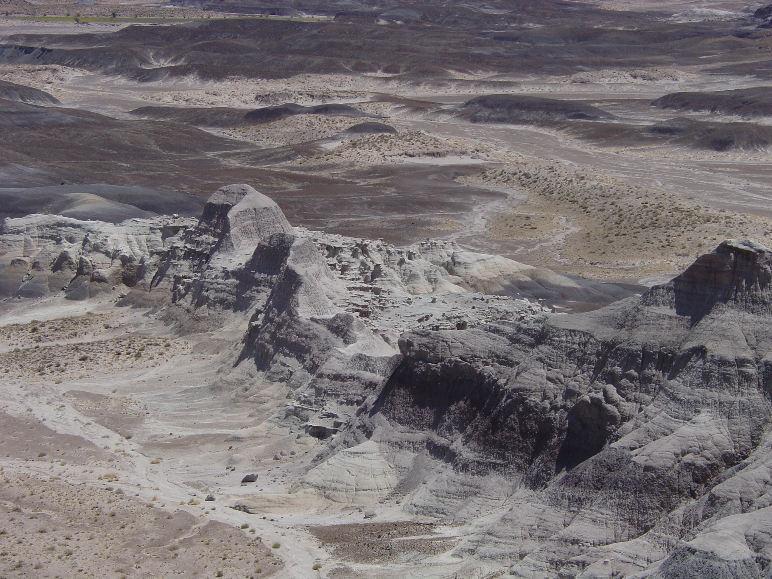 Petrified Forest National Park