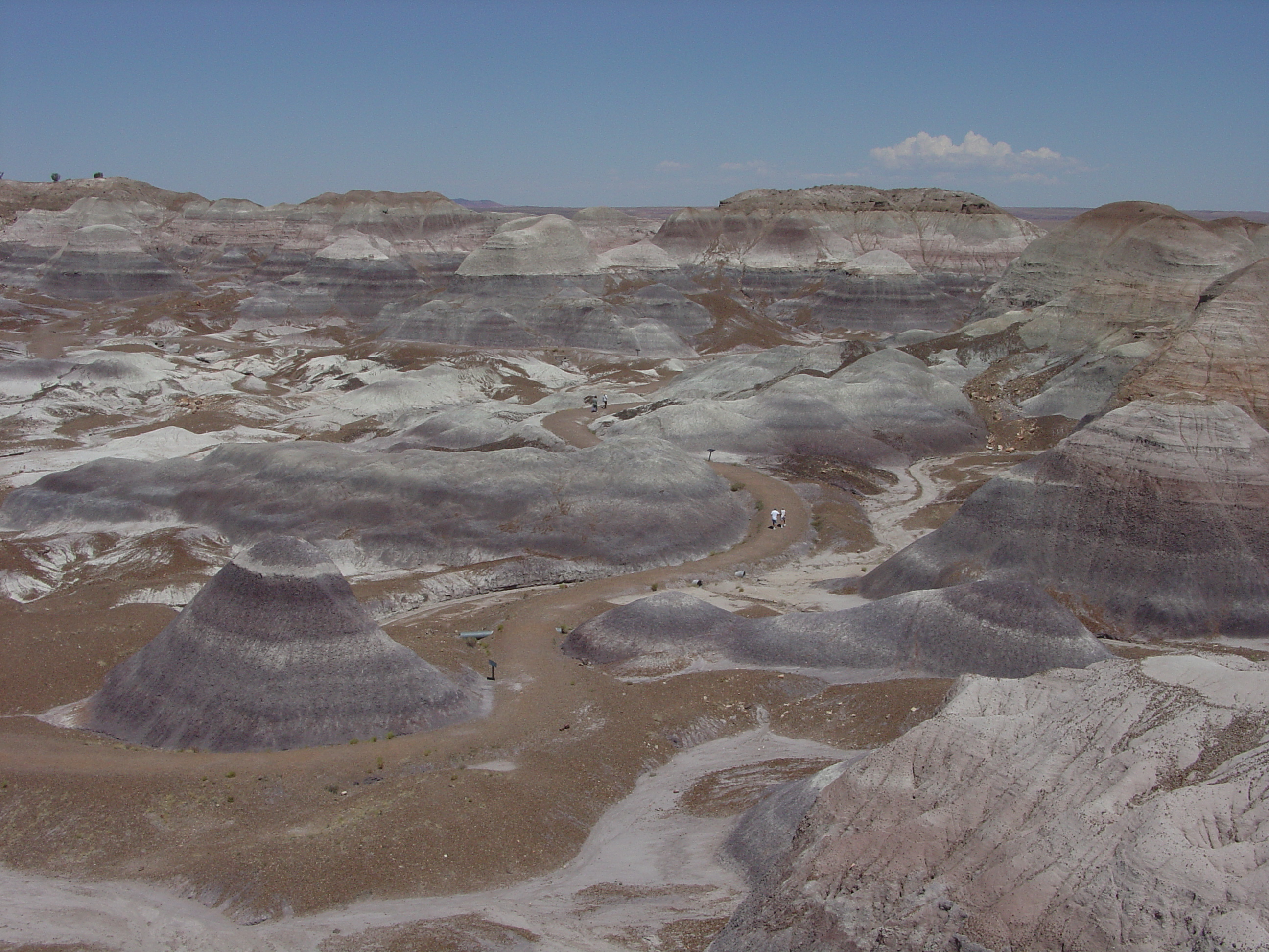 Petrified Forest National Park