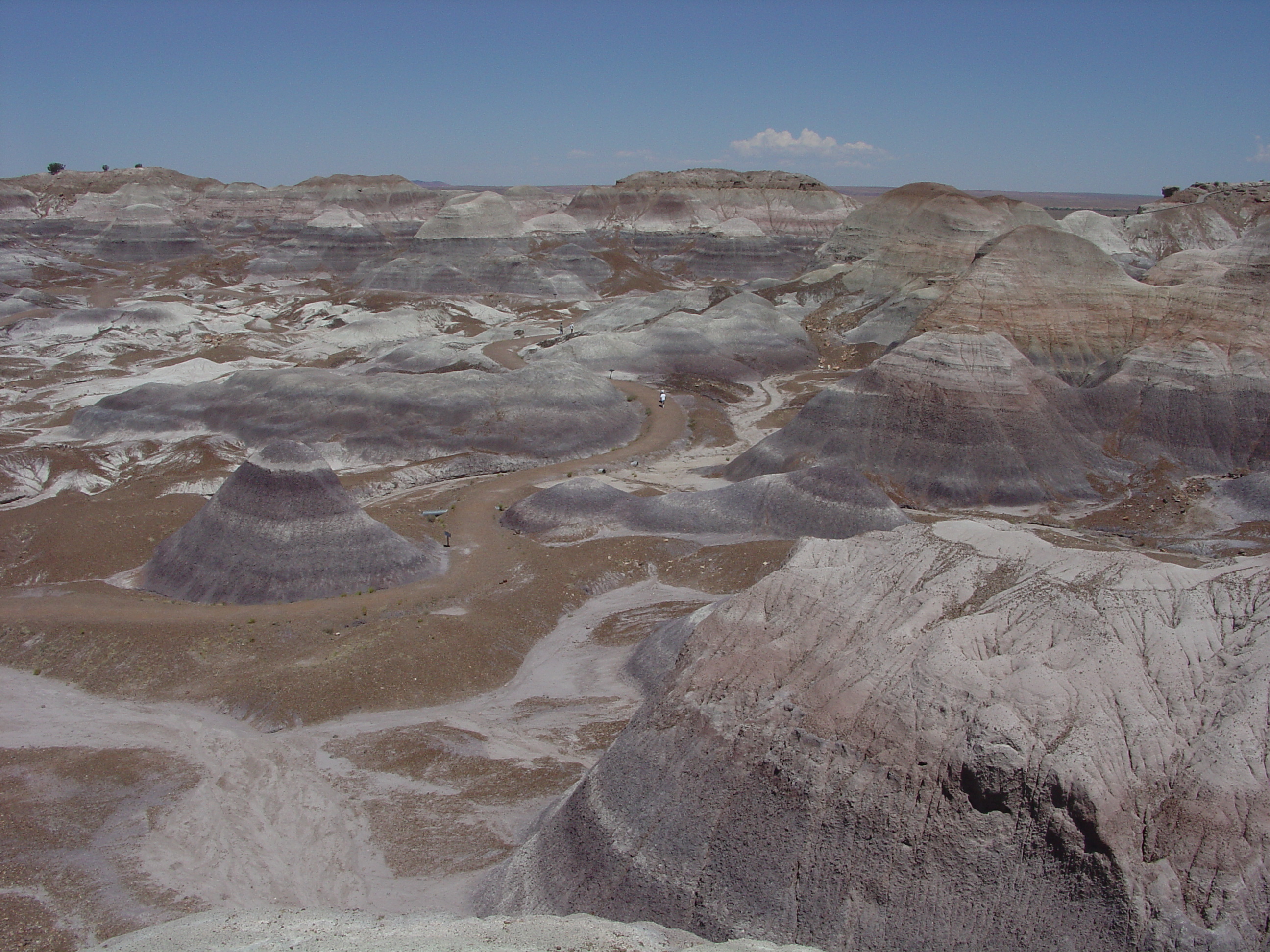 Petrified Forest National Park