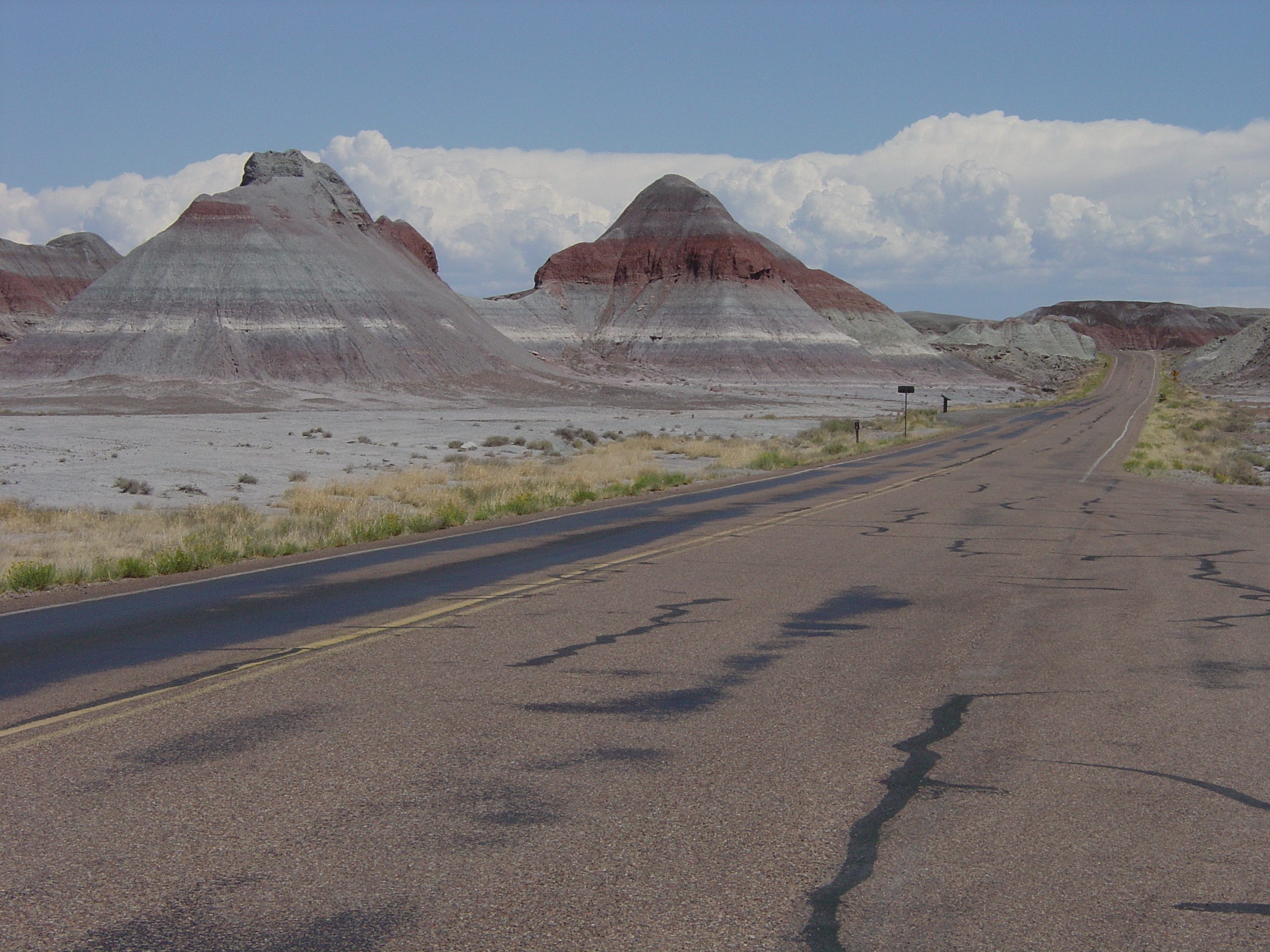 Petrified Forest National Park