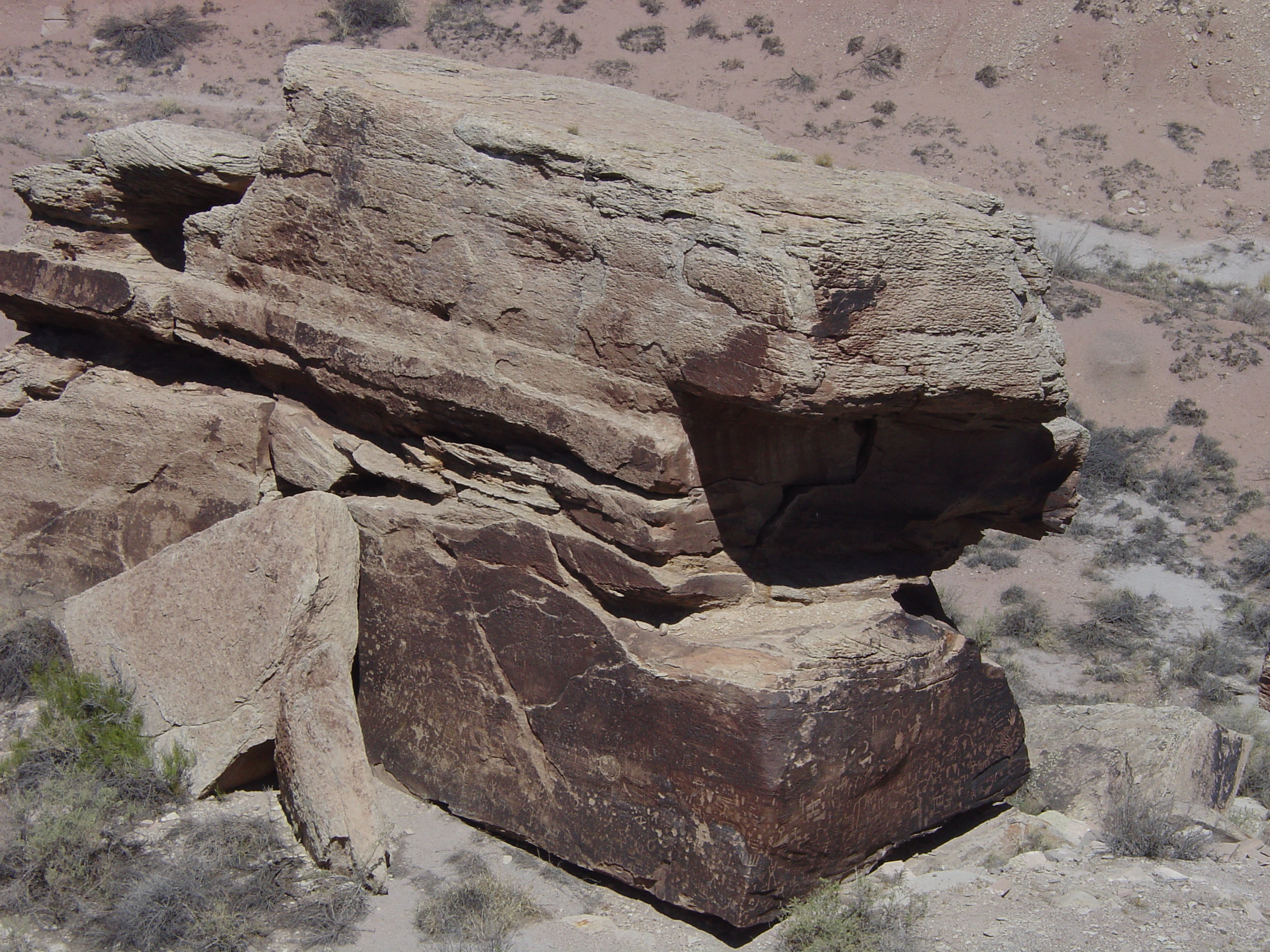 Petrified Forest National Park