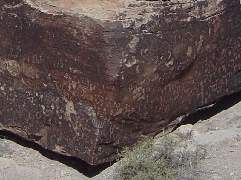 Petrified Forest National Park