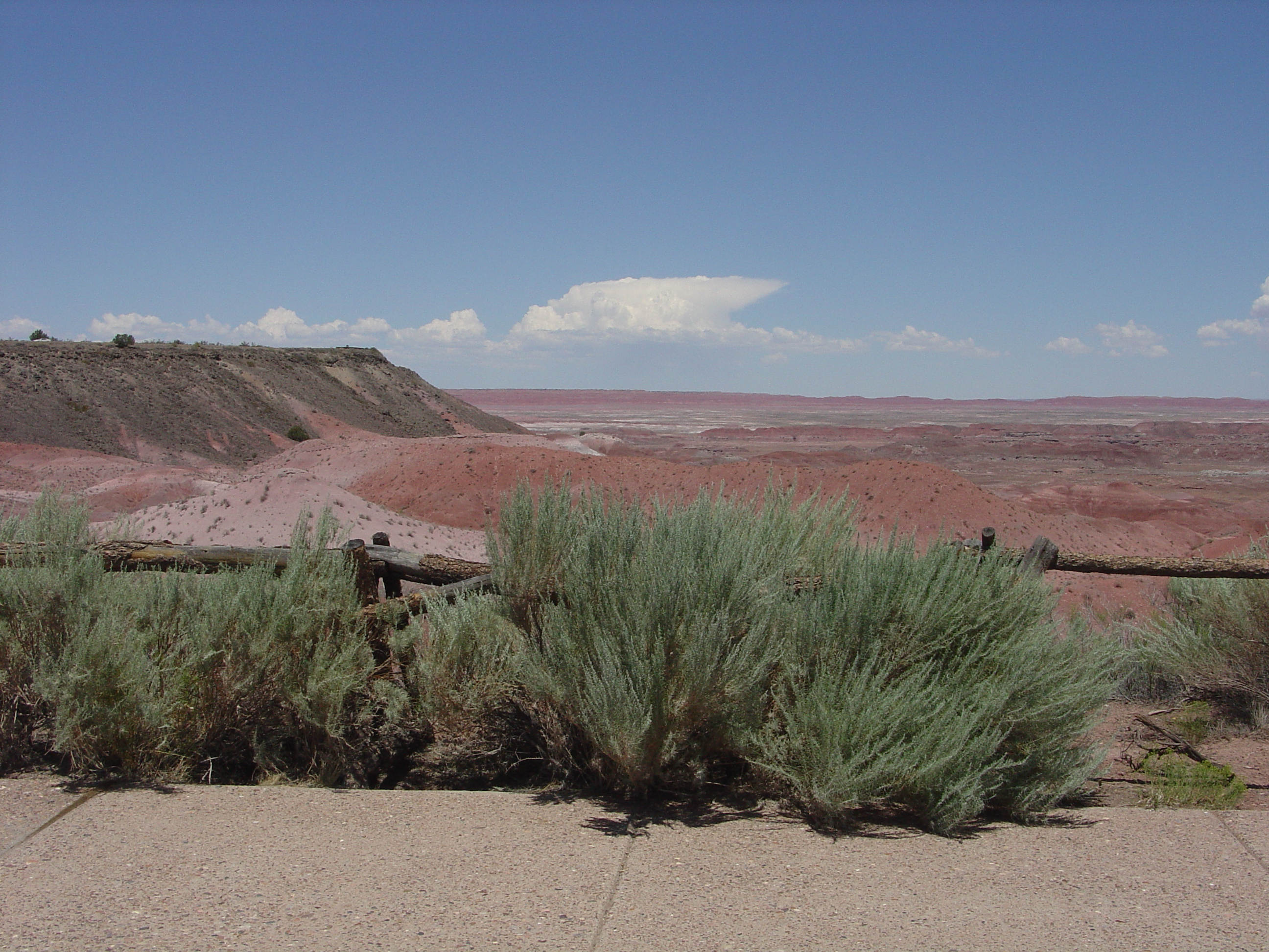 Petrified Forest National Park