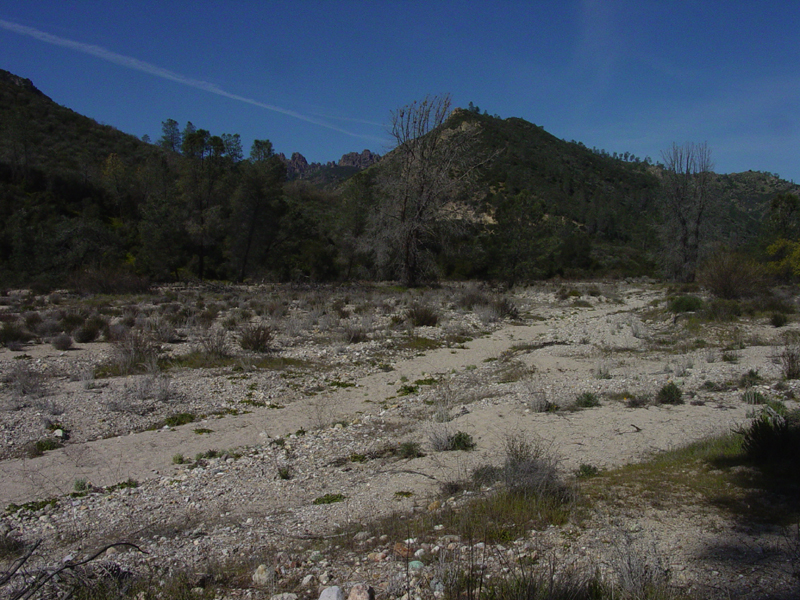 Pinnacles National Park