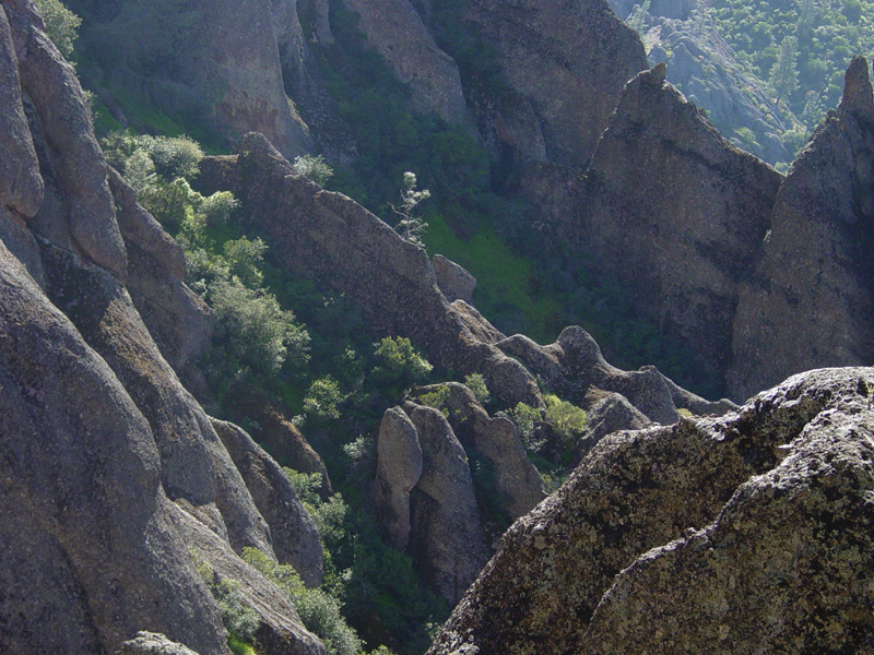 Pinnacles National Park