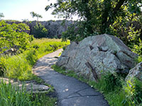 View of the maintained trail from the Visitor Trail.