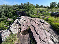 View of the top of a quartzite outcrop near a spring on a short side trail off the park's loop trail.