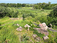 View looking downstream at grassy meadows, wetlands and riparian habitats along Pipestone creek.