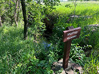 Entrance to a side trail to the 'Spotted Quarry' along the loop trail.