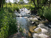 View of Pipestone Creek along the loop trail that starts at the Visitor Center.