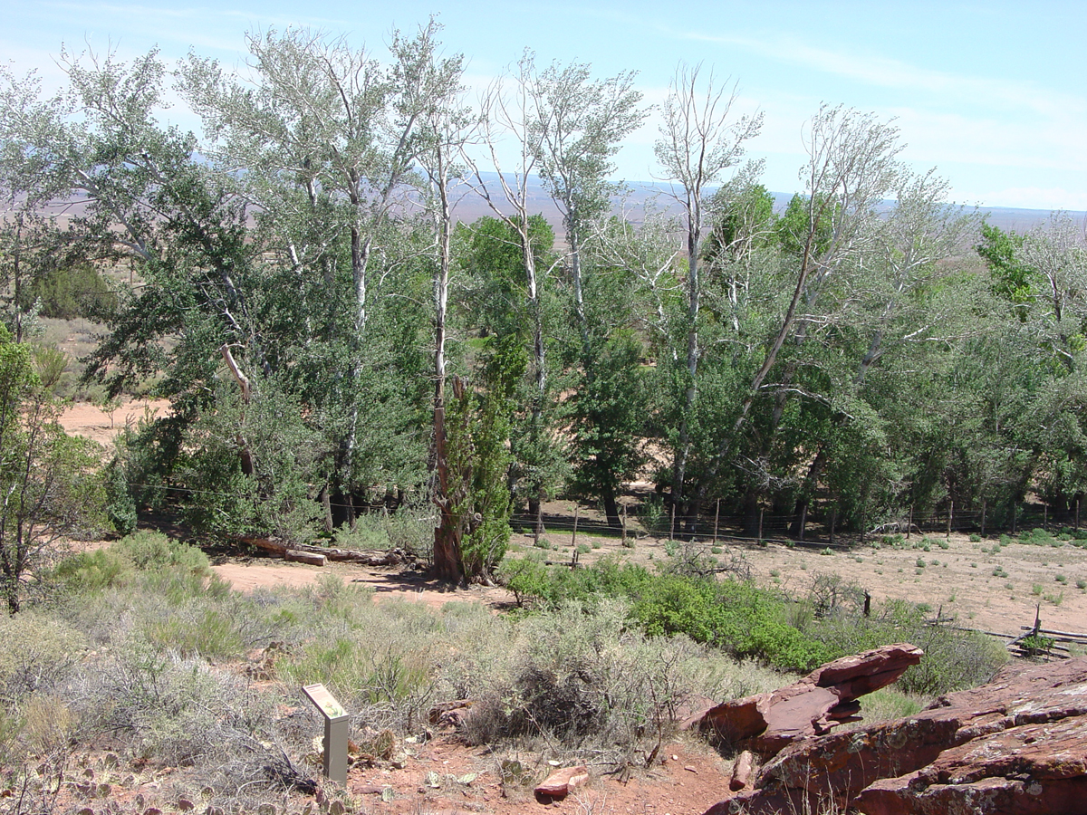 Pipe Spring National Monument