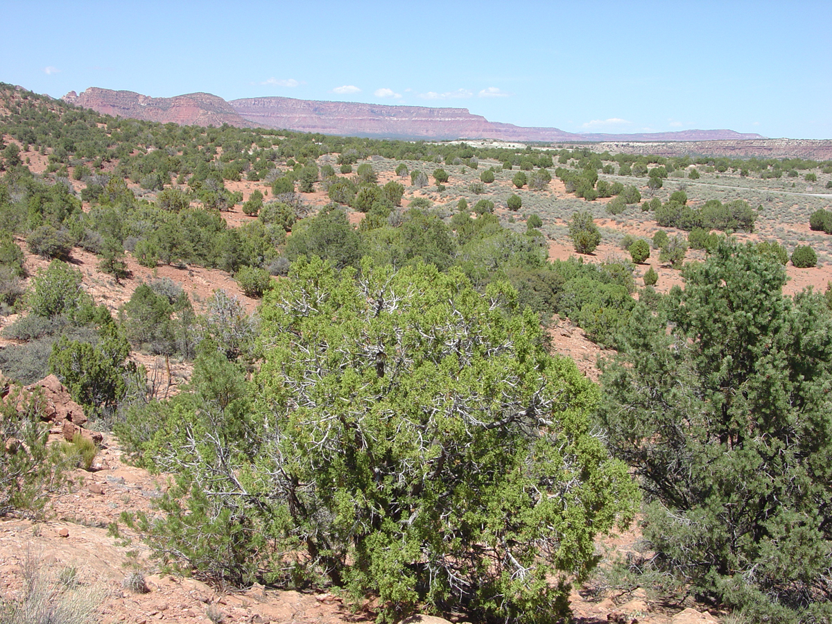 Pipe Spring National Monument