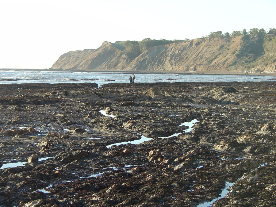 Point Reyes National Seashore