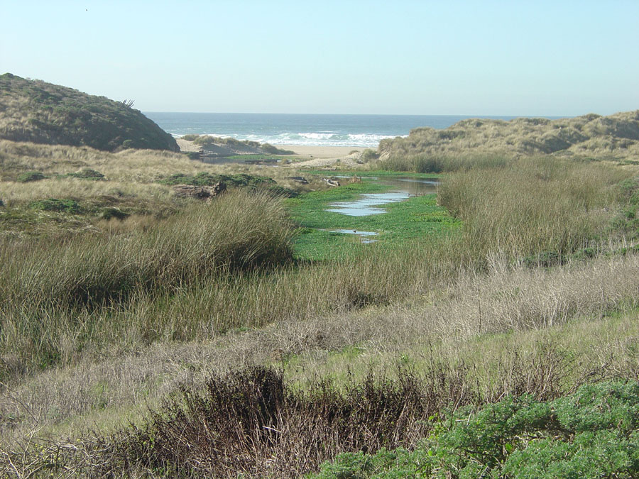 Point Reyes National Seashore