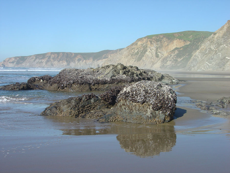 Point Reyes National Seashore