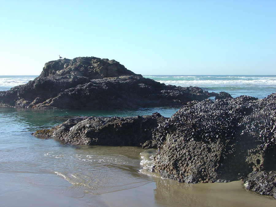 Point Reyes National Seashore