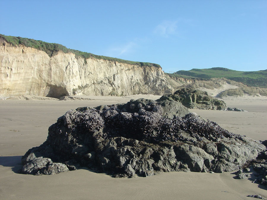 Point Reyes National Seashore