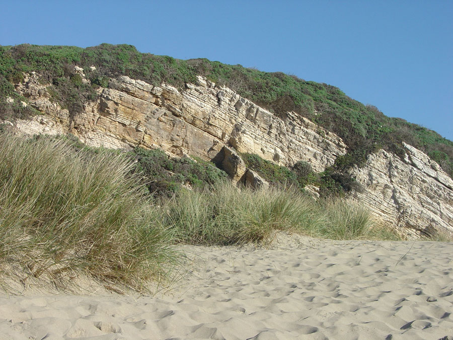 Point Reyes National Seashore