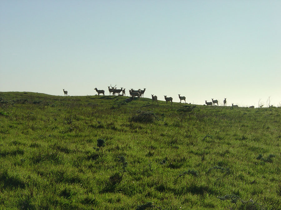 Point Reyes National Seashore