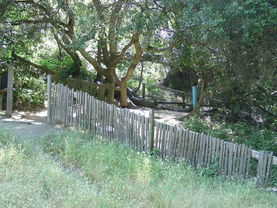 Point Reyes National Seashore