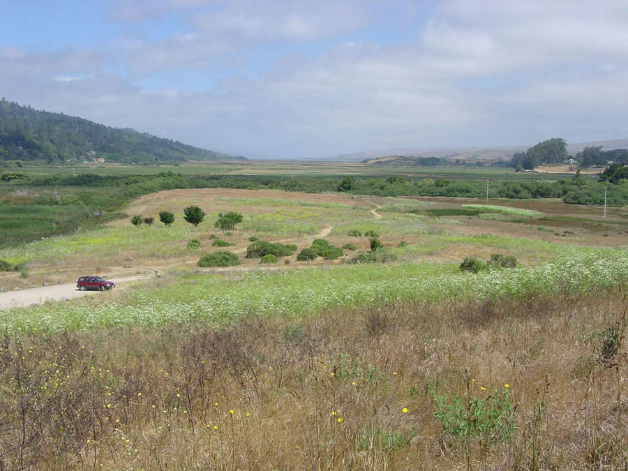 Point Reyes National Seashore