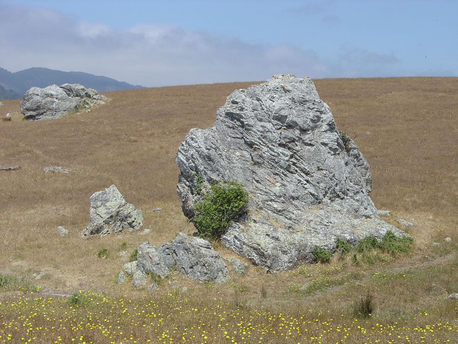 Point Reyes National Seashore