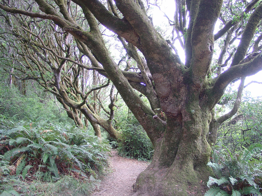 Point Reyes National Seashore