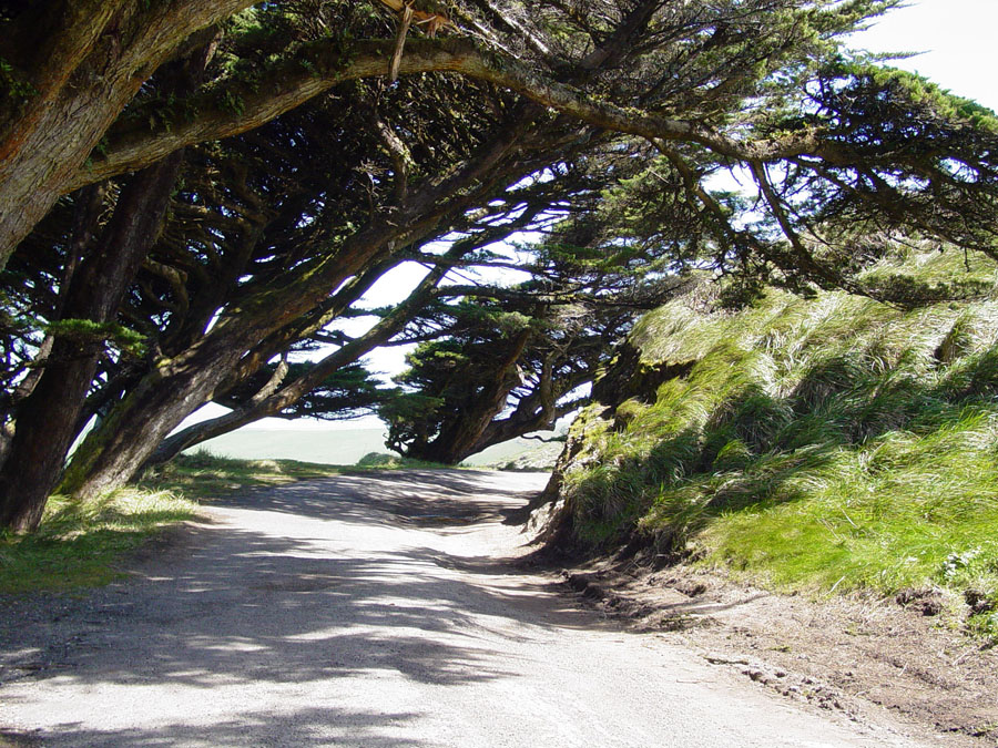 Point Reyes National Seashore