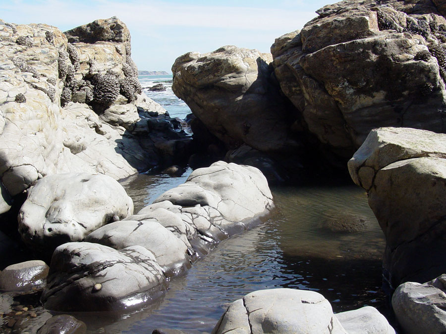 Point Reyes National Seashore