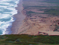 Point Reyes dunes