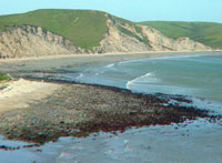 sea lions' gravel beach