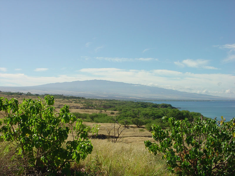 Puukohola Heiau