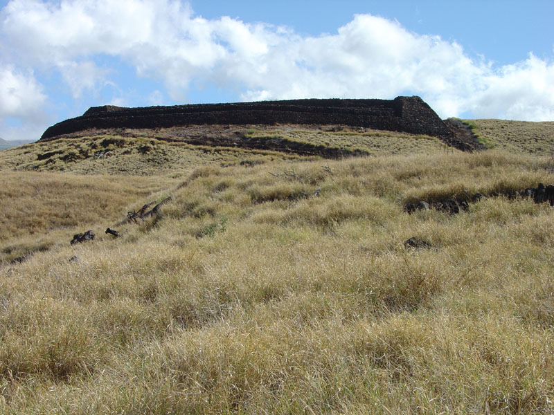 Puukohola Heiau