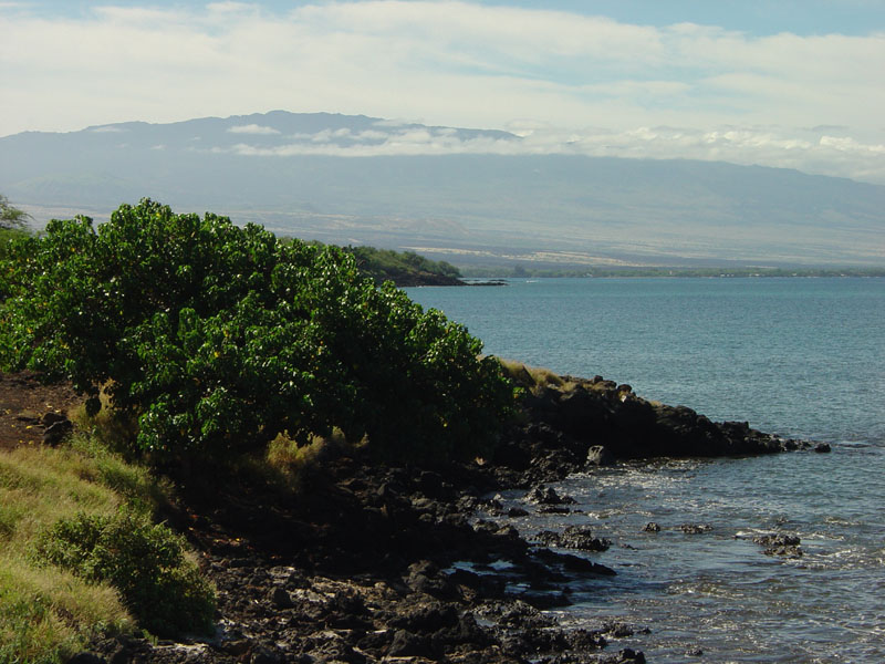 Puukohola Heiau