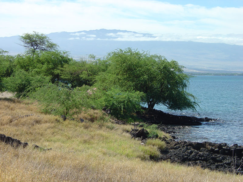 Puukohola Heiau