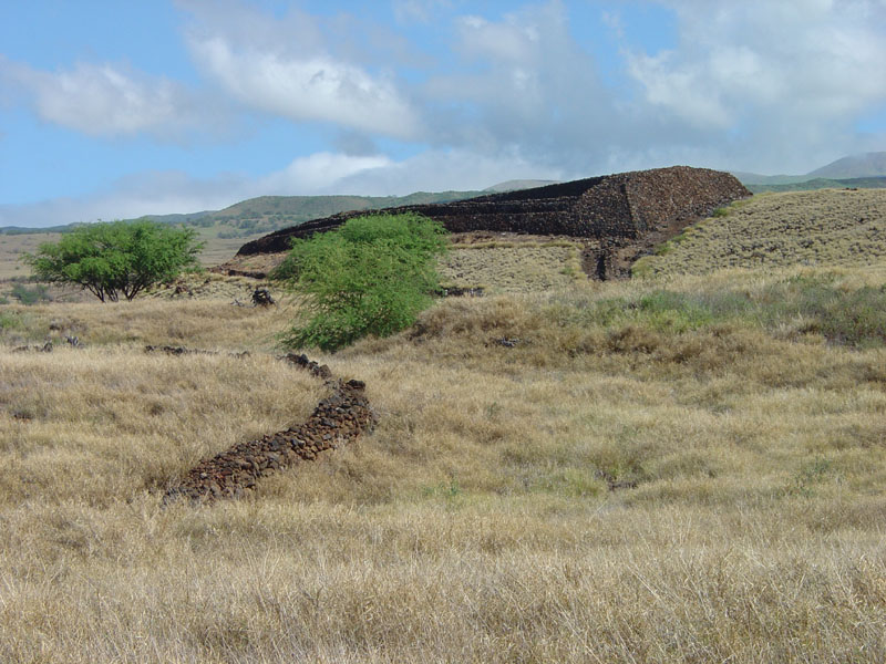 Puukohola Heiau