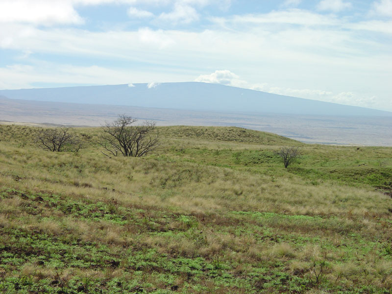 Puukohola Heiau